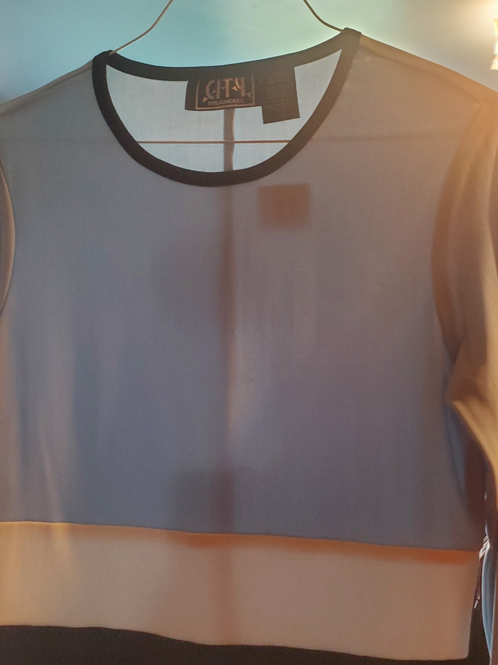 Sheer Colorblock Cropped Blouse with Black Trim